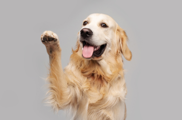 linea de tiempo 1985